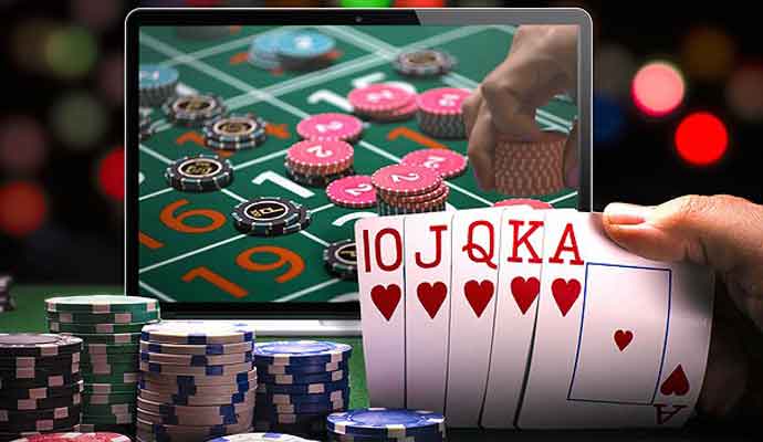Exploring the Features and Benefits of ck444 48