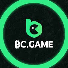 Understanding BC.Game Support and Its Importance
